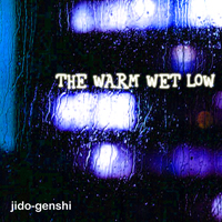 The Warm Wet Low